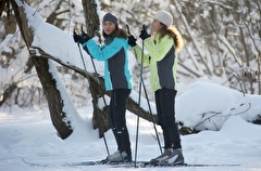 Свыше 40 лыжных маршрутов будет работать на природных территориях Москвы