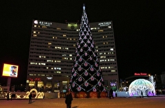 Огни на главной новогодней елке Мурманска зажгутся 10 декабря