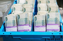 Объем инвестиций в текущие инвестпроекты красноярского ЛПК составляют 261 млрд руб - Рослесхоз