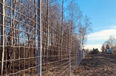 Защитную сетку от диких животных установили на трассе в Кирове