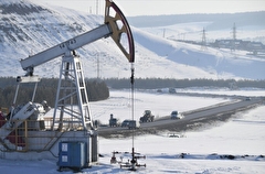 Путин: решений о сокращении добычи нефти пока нет, ответ на price cap будет в указе
