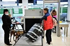 Брянская область в 2023 г выделит 1,1 млрд руб на реконструкцию инфраструктуры аэропорта "Брянск"