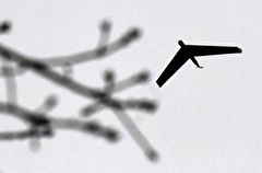 В Волгоградской области запретили использование беспилотников