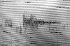 Землетрясение магнитудой 3.5 произошло в Приморье