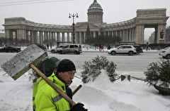 Петербург пережил самый пасмурный январь за последние 30 лет