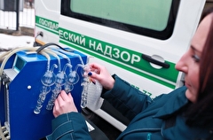 В мэрии заявили об улучшении качества воздуха в Москве минувшей зимой