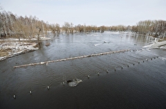 Паводок в Новгородской области подтопил 12 населенных пунктов, 12 автодорог и 8 мостов