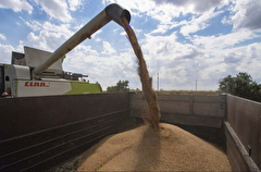Саратовская область в 2023г рассчитывает собрать 4 млн тонн зерновых