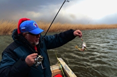 Астраханская область усиливает контроль за соблюдением правил рыбалки в ожидании наплыва туристов