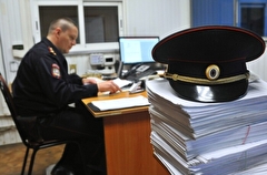 Полиция Челябинской области по итогам проверок возбудила 15 уголовных дел о незаконной регистрации мигрантов