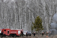 Все лесные пожары потушены в Новосибирской области