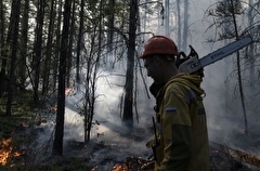 Огнеборцы локализовали половину лесных пожаров и один очаг в заповеднике в ХМАО