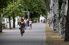 Зеленых насаждений в российских городах должно стать больше на 40% к 2041 году - эксперт