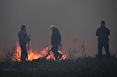 Полтора десятка природных пожаров потушили в Свердловской области, осталось еще больше 20