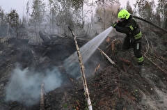 Пожар тушат в природном парке "Бажовские места" в Свердловской области