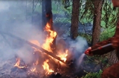 Ситуация с лесными пожарами ухудшилась за сутки в ХМАО