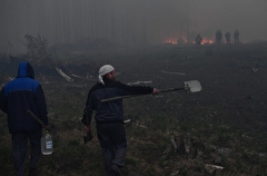 Десять природных пожаров потушили за сутки в Тюменской области