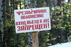 Запрет на посещение лесов введен в Калининградской области из-за сильной засухи