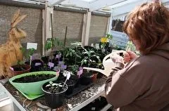 Начинающие астраханские аграрии в 2023г получат 75 млн руб господдержки