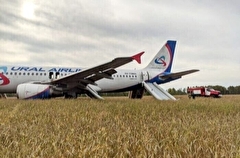 Транспортировка самолета, севшего на поле в Новосибирской области, может занять несколько месяцев - авиакомпания
