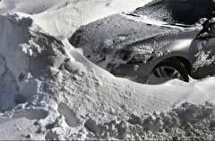 Восемь сантиметров снега выпало за ночь в Свердловской области