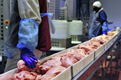 Стоимость экспорта мяса из РФ в 2023 г впервые превысила стоимость его импорта