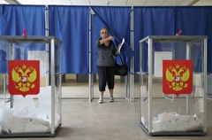 Избирательные участки для соотечественников из-за границы откроют на Псковщине