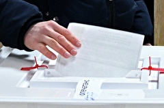 Почти 2 тыс. россиян из ЕС проголосовали на границе в Калининградской области