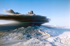 Пепловый шлейф, поднятый ветром на камчатском вулкане Шивелуч, протянулся на 50 км