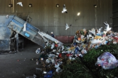 В Челябинской области стали использовать ИИ для контроля за вывозом мусора