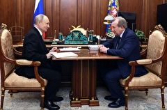 У РАН может появиться попечительский совет, который возглавит Путин - глава академии