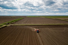 Тамбовская область потеряла 6% посевов из-за майских заморозков, ведется пересев