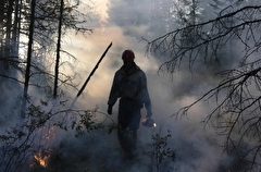 Площадь лесных пожаров в Якутии за выходные увеличилась до 27 тыс. га