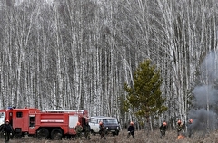 Пожары из-за гроз тушат в лесах в Иркутской области