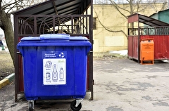 Власти России направят 9 млрд рублей на поддержку мусорных операторов