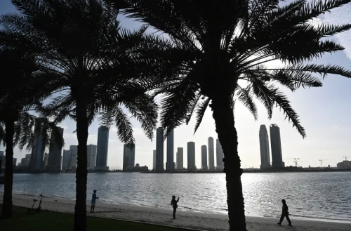 Цены на туры в ОАЭ в феврале снизились из-за большого числа рейсов и скидок в отелях