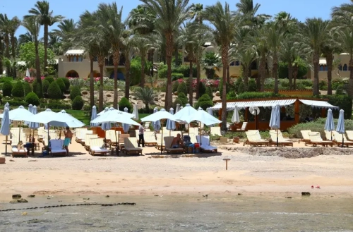 Египет вышел на первое место у туркомпаний по объему продаж на зимний сезон