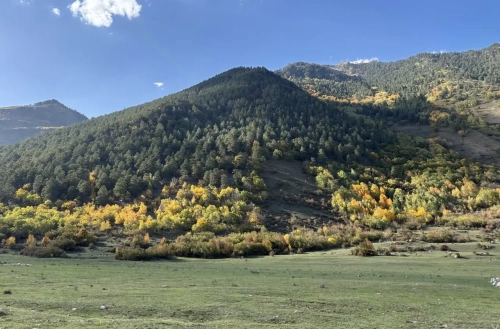 Регионы Юга и Северного Кавказа сохраняют высокий турпоток и осенью