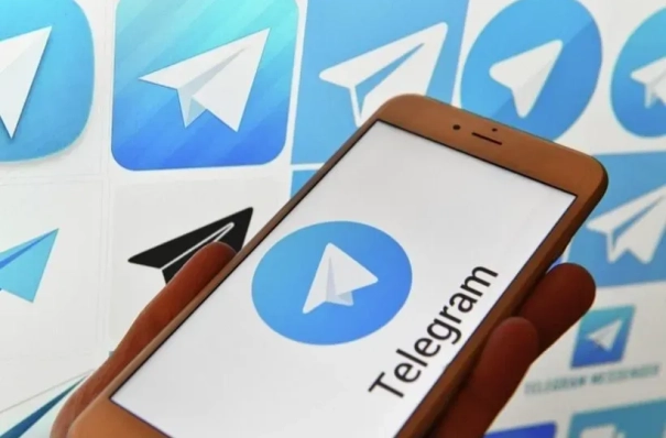 В МВД РФ заявили о пресечении в 2025 году деятельности крупнейших площадок по "пробиву" персональных данных россиян в Telegram