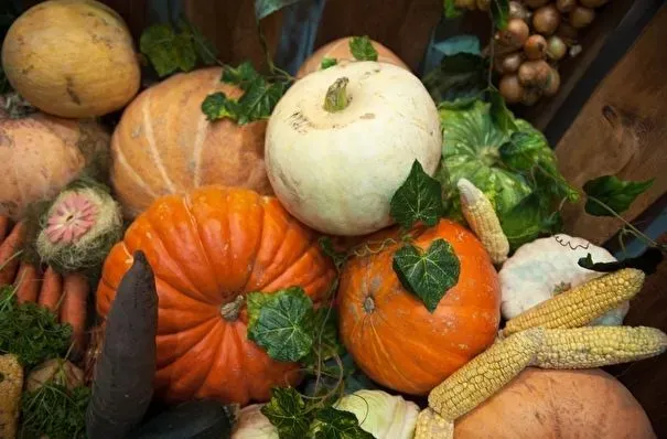 Проект бюджета на 2025г предусматривает поддержку сельхозотрасли на 560 млрд рублей