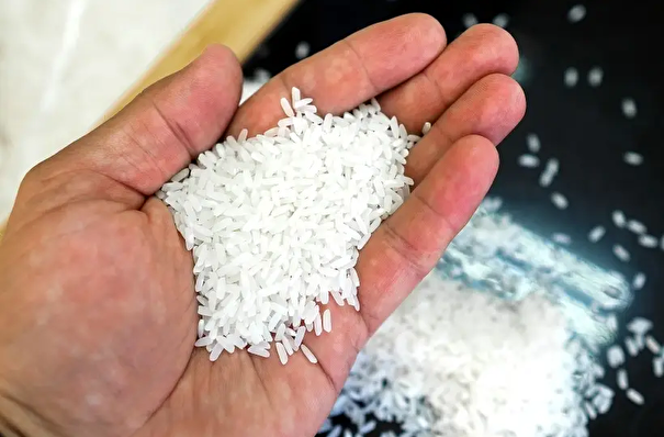 Кабмин продлил запрет на экспорт риса и рисовой крупы до 30 июня 2025 г