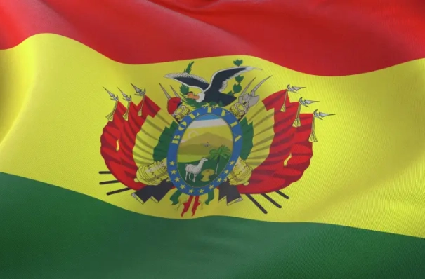 Томская область предлагает Боливии сотрудничать в агробиотехнологиях и в сфере БПЛА