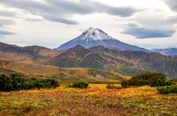 Полуостров Камчатка после мощного землетрясения на 2 м сместился на юго-восток - сейсмологи