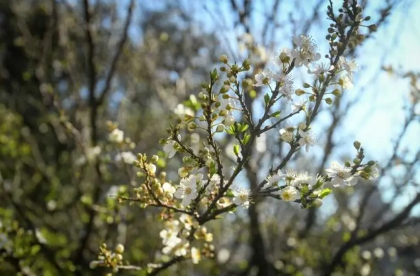 Прошедшая весна в Иркутске вошла в 5-ку самых теплых за последние полтора века