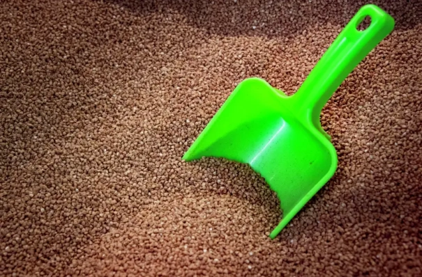 Хабаровский край в 2025г увеличил сбор гречихи в 2,2 раза