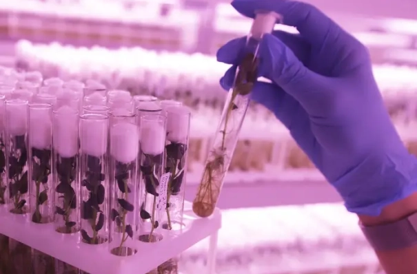 В школах России к 2030 году будет 18 тыс. профильных агротехнологических классов