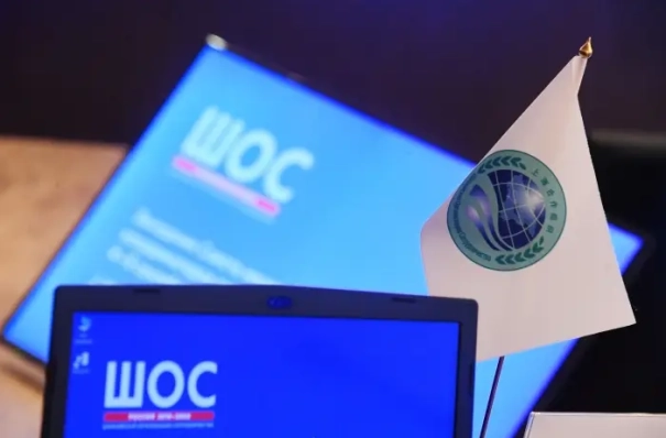 Представители шести стран примут участие в форуме ШОС в Омске