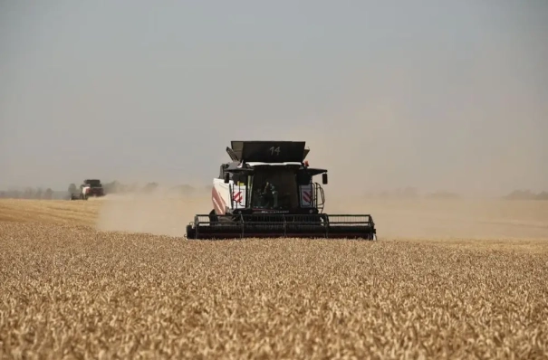 Ростовская область завершила уборку зерна, намолотив более 8 млн тонн