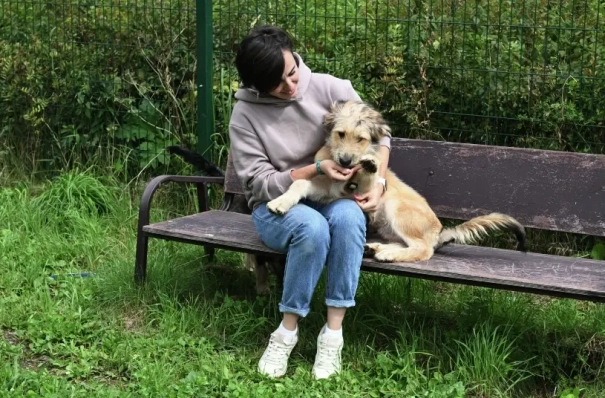 Первый в России Центр социализации собак создан в Рязанской области