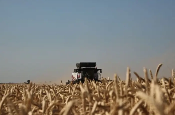 Волгоградская область собрала 4,4 млн т зерна, уборка завершена на 72% площадей